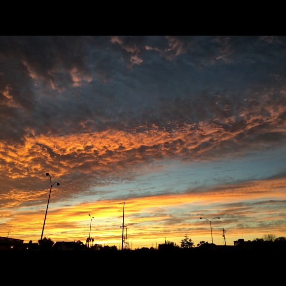 Meet your Posher, Mackenzie - Picture 1 of 1